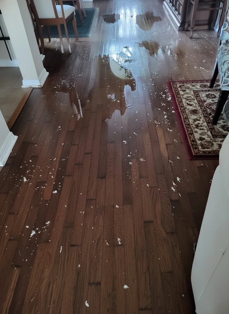 Flooded House in Orange County
