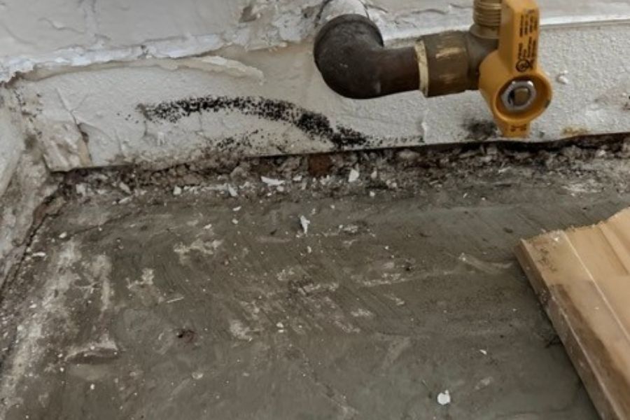 Mold growth discovered behind baseboards in an Orange County home during inspection