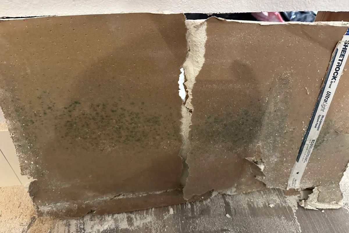 Why You Should Not Wait for Wet Wall Repair in Orange County