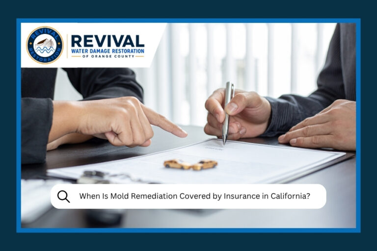 When Is Mold Remediation Covered by Insurance in California