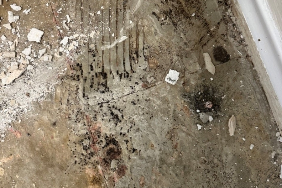Mold growth on a subfloor during water damage inspection in an Orange County home