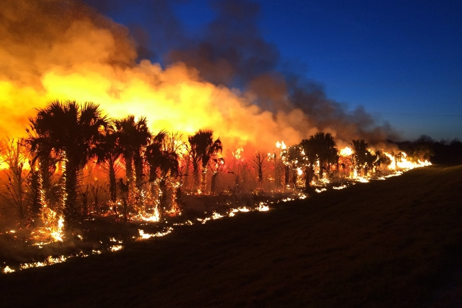 Wildfire smoke rising over dry coastal hills near Laguna Beach in Orange County