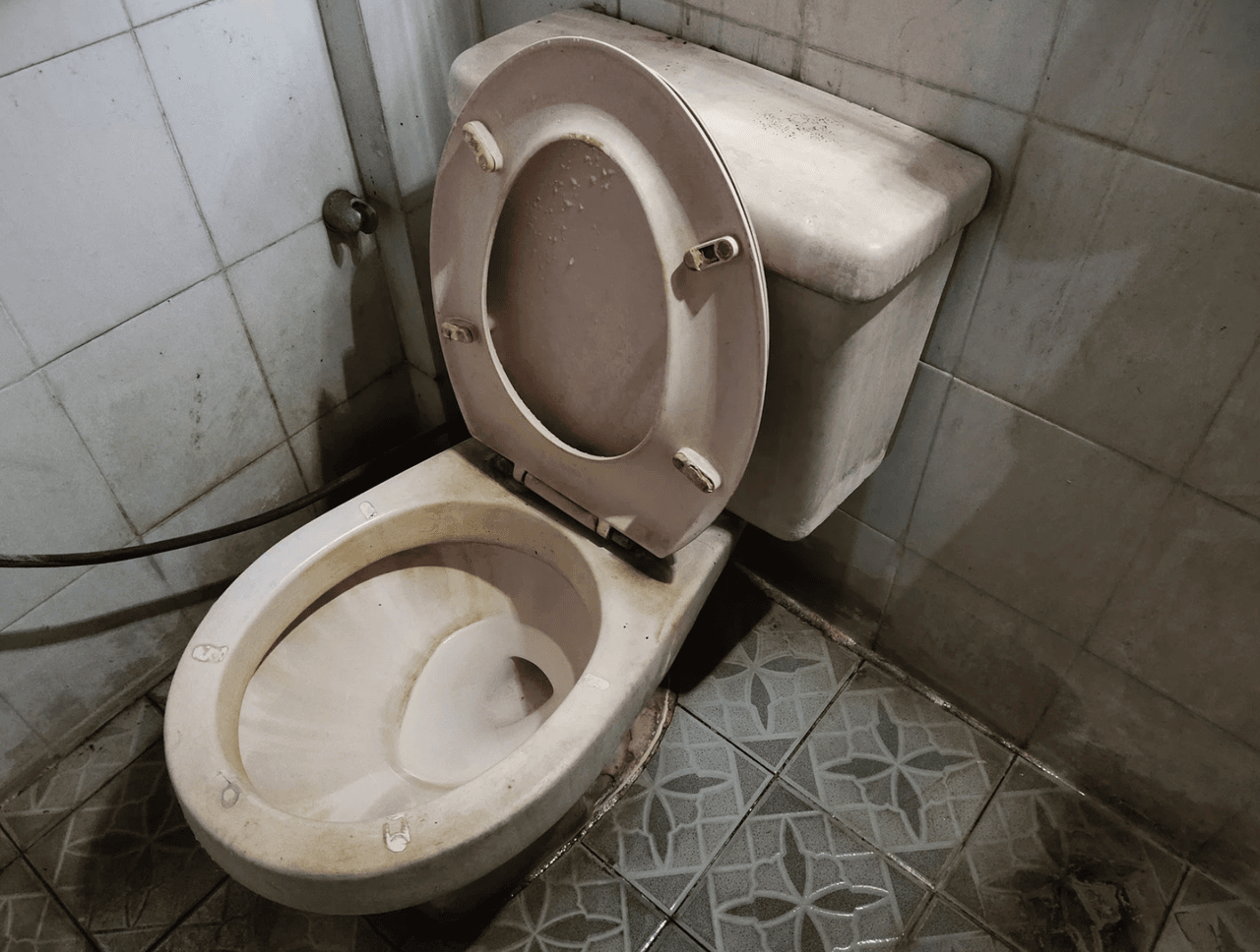 Toilet sewage cleanup